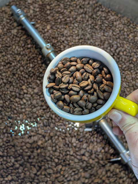 From Green to Great: The Beechworth Coffee Roasters Journey