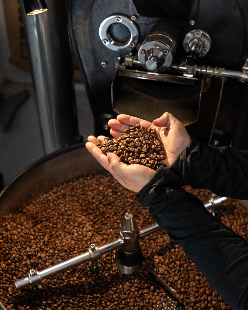 Freshly roasted coffee beans in hand